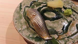 NbNĊg